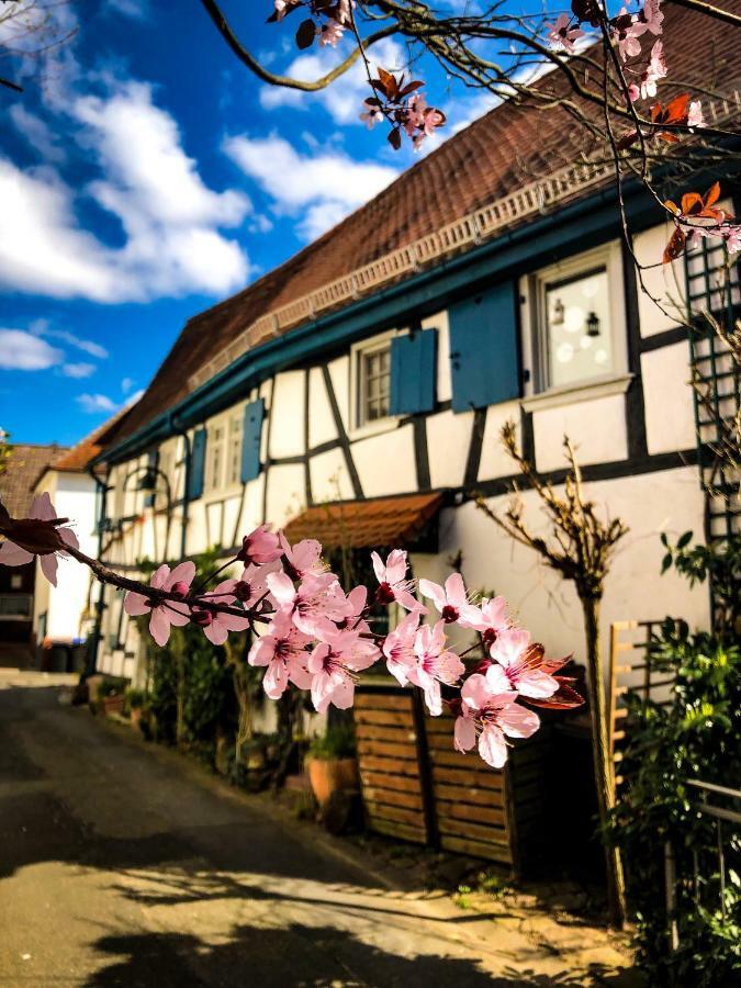 Hexenhaeuschen Dreieichenhain Eksteriør billede